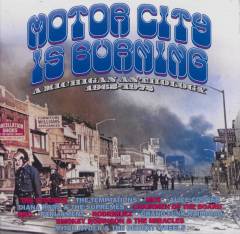 Motor City is burning : a Michigan anthology 1965-1972