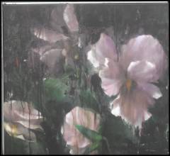 Musik (cd), ℗2013