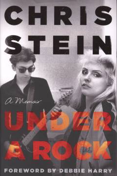 Under a rock