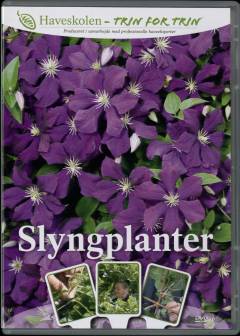 Slyngplanter