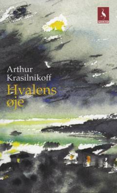 Hvalens øje : en roman i 111 stykker