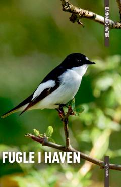 Fugle i haven
