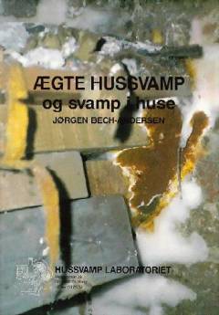 Ægte hussvamp og svamp i huse