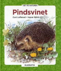 Pindsvinet