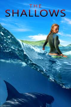 The shallows