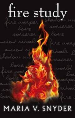 Fire study