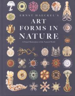 Art forms in nature