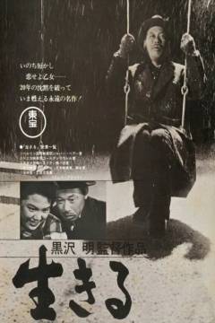 Film (dvd), 2005