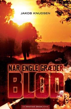 Bog, 1. udgave, 2013