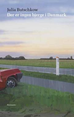 Bog, 1. udgave, 2011