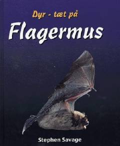 Flagermus