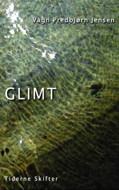 Glimt : kortfattede essays
