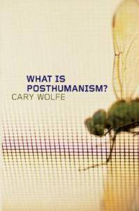 What is posthumanism?