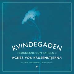 Frøknerne von Pahlen. Bind 2 : Kvindegaden