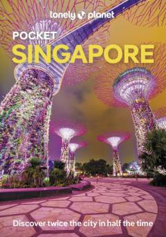 Pocket Singapore