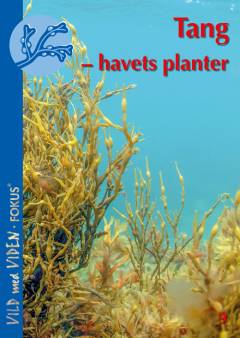 Tang : havets planter