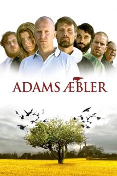 Film (dvd), 2006
