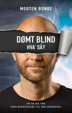 Dømt blind - hva' så? : en rejse fra Håbløshedsgade til Mulighedsvej