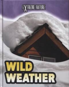 Wild weather