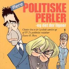 Flere politiske perler - og det der ligner : citater fra et år i politik