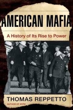 American Mafia : a history of its rise to power