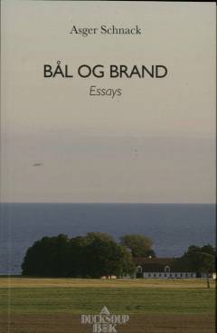 Bål og brand : essays