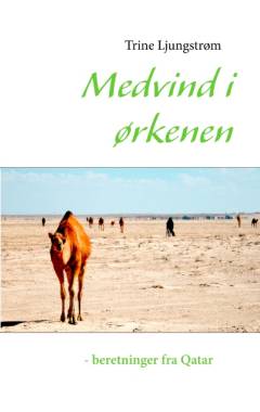 Medvind i ørkenen - beretninger fra Qatar : dokumentar