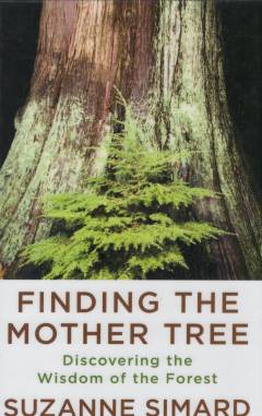 Finding the mother tree : discovering the wisdom of the forest