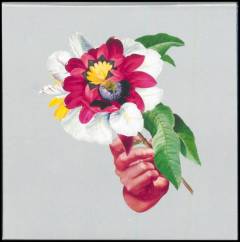Musik (cd), ℗2018