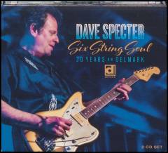 Six string soul : 30 years on Delmark