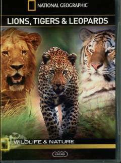 Lions, tigers & leopards