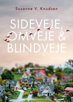 Sideveje, omveje & blindveje : samtidsroman