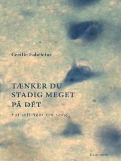 Tænker du stadig meget på dét : fortællinger om sorg