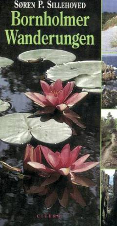 Bog, 1998