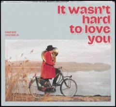 It wasn't hard to love you