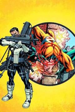 Punisher, dark reign