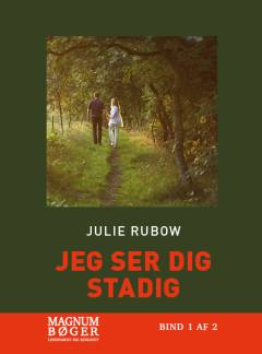 Jeg ser dig stadig : en fortælling om livet med Alzheimer. Bind 2 (Stor skrift)