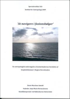 At navigere i fusionsbølger : en antropologisk undersøgelse af medarbejdernes forståelse af hospitalsfusioner i Region Hovedstaden : kandidatspeciale ved Københavns Universitet