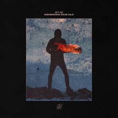 Ensomhedens kolde kald