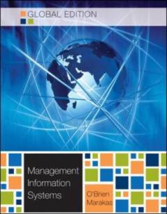 Management information systems