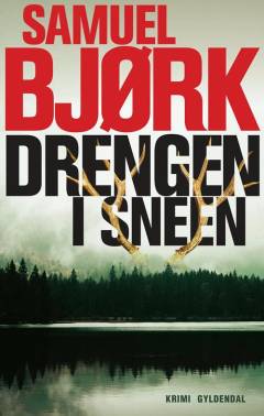 Drengen i sneen : krimi