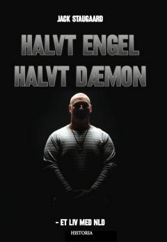 Halvt engel, halvt dæmon