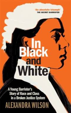In black and white : a young barrister's story of race and class in a broken justice system
