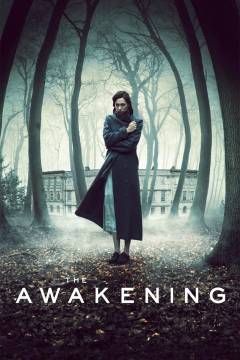 The awakening