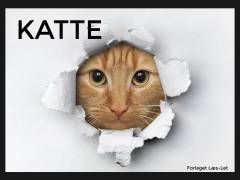 Katte