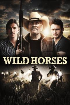 Wild horses