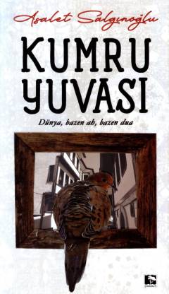 Kumru yuvası