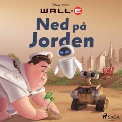 Ned på Jorden