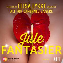 Julefantasier : erotik