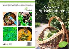 E-bog, 1. udgave, 2021